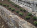 Lake Lure Flowering Bridge