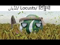 Meet the South Asia (Countryballs)