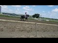 Horse Racing at Parx 🐎