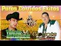 Valentín Elizalde, El Coyote y Su Banda Tierra Santa - Puros Corridos Exitos