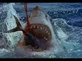 Great White Shark Eats Tuna