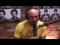 Joe Rogan & Gad Saad - Islamic Immigration