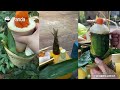 Fantastic Food Enrichment For Pandas At Guangzhou Chimelong Safari Park | iPanda