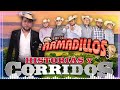 Puros Corridos Exitos - Dueto Los Armadillos de la Sierra Exitos- Historias y Corridos Chingones