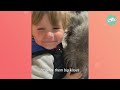 Huge Wolfhound Waits For His Favorite Boys Every Day | Cuddle Buddies