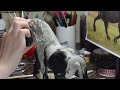 Making a Custom Breyer Friesian Horse