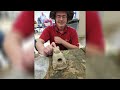 Huge Ancient Frog Effigy Pipe Found In Cottonfield In Mississippi - Incredible Story Behind It!