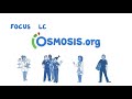 Sinusitis - causes, symptoms, diagnosis, treatment, pathology