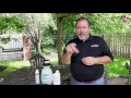 How to Get Rid of Carpenter Bees (3 Easy Steps)