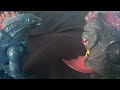 Godzilla and Kong vs Destroyah