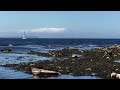 Lots of Adult Seals and there Pups at Church Bay Rathlin Island