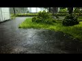 Refreshing Heavy Rainfall | Ideal Background Noise for Work and Study #rainsounds