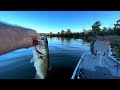 Unboxing, Instalación y Test de Trolling Motorguide Xi3 GPS Pinpoint + 4 capturas Lake bastrop