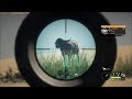 AS ARMAS MAIS FORTES DO JOGO  - MELHORES ARMAS DO JOGO PARTE 3 - THE HUNTER CAL OF THE WILD GAMEPLAY