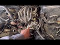 1991 Lexus LS400 4.0L timing belt replacement and timing marks