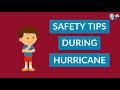 What is a hurricane and where does it form? | Hurricane video for kids