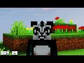 I Survived 100 Days as KUNG FU PANDA in Minecraft