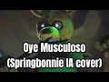 Oye Musculoso (Springbonnie IA cover)