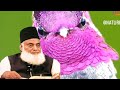 Saniha-e-Karbala Ka Tareekhi Pasmanzar By Dr. Israr Ahmad