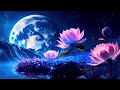 Sleep Deeply  Music\ Healing Music\ Fall Asleep Fast; Music for Sleep \ Relaxation  & Meditation