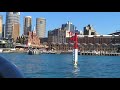 Whale Watching Sydney - Ocean Extreme