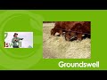 How to think like a Grazier - Groundswell 2022