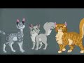 Top 10 FORGOTTEN Plot Points in Warrior Cats