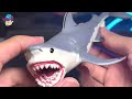 Sea Animals Collection - Shark Dolphin Whale Narwhal Beluga Shark Ray Polar Bear Sawfish Lemon Shark