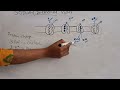 Sodium Potassium Pump || Sodium Potassium ATPase || Biochemistry