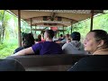 Kilimanjaro Safaris On-Ride POV • Disney's Animal Kingdom • January 2024