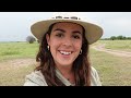 VLOG AFRICA. 💚 🦓 SAFARI TANZANIA Y KENYA 🦁/ STAMPS OF PAM