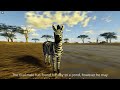 Circle of life - Episode #1 The Zebra