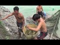 kéo lưới hầm cá trê vàng và cá rô đồng nuôi chung hầm. ở Phú Thành Phú Tân