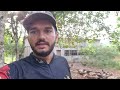 VACA LEITEIRA EM FASE DE DOMA, DEU TRABALHO, VAI FICAR BOA? VLOG