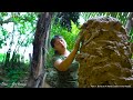 Full video: 60 Days of Log Cabin Building & Survival - Facing a Big Tiger, Losing a Friend & Revenge