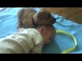 Sleepy Puppy falls asleep on baby