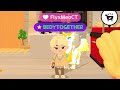 PLAY TOGETHER | BEDY SOLO XÂY NHÀ CHO PET RỒ.NG CÙNG MEO VÀ CÁI KẾT