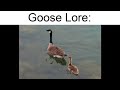 Goose lore