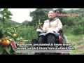 Travelling With a Physical Disability in Japan