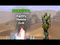 Cataclysm Hunter Guide - Leveling, Talents, Changes & More