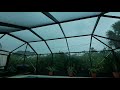 Intense Florida Thunderstorm - Complete FL Thunderstorm 2020 #1