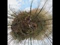 Sasbachwalden Wasserfälle #insta360 31.12.2021