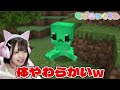 モブを『ぬいぐるみ』にできるマインクラフト🌈🧸🎀【マイクラ / Minecraft】【たまちゃん】