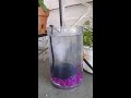 Small LA backyard aquaponics