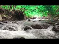 Gentle Flowing Water Sounds  River Water Sound for Insomnia Relief and Better Sleep flowingwithriver