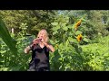 Soft Flute & Sunflowers w. Acoustic Guitar Track - Robyn Bellospirito