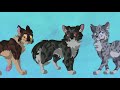 Warrior Cats Protagonist Tier List