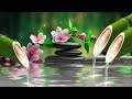 Serene Spa Music with Soothing Water Sounds: Relaxation, Healing, and Sleep Tracks, Nature Sounds