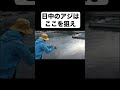 【アジング】真昼間にアジが釣れる場所を教えます。