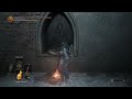 The final DLC.. {DARK SOULS III The Ringed city DLC}